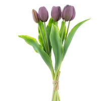 Real Touch Holland Tulip bundle Sally X5 aubergine 36cm