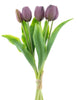 Real Touch Holland Tulip bundle Sally X5 aubergine 36cm