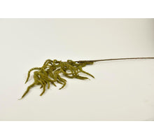 Coryllus flower grey green 80cm