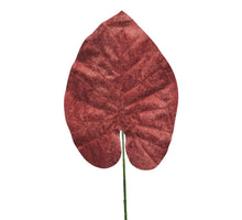 Velvet philo leaf rust 70cm
