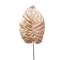 Velvet philo leaf pink 70cm