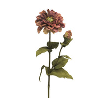 Zinnia Alice mauve 58cm