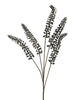 Phytolacca black 93cm