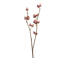 Physalis spray Dodo pink 80cm