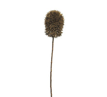 Allium spray gold 43cm