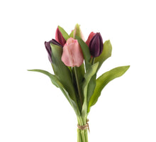 Real Touch Vermeer tulip bundle Sally X7 purple/beauty combo 31cm