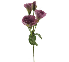 Eustoma alara spray mauve 53cm