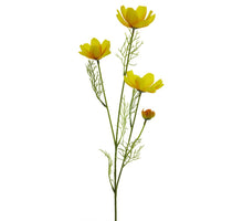 Cosmos chanel spray yellow 61cm