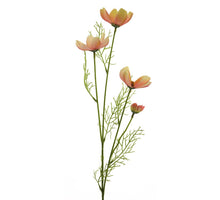 Cosmos chanel spray pink 61cm
