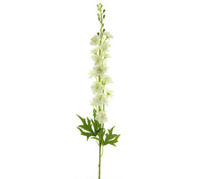 Delphinium Finn spray cream 85cm