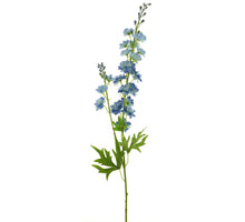Delphinium finn spray blue 85cm