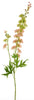 Delphinium Finn spray pink 85cm