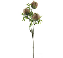 Protea spray pink 73cm