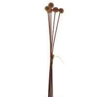 Seed fruit bundle x5 pink 58cm