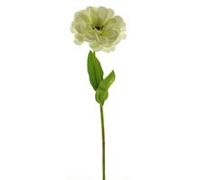Zinnia spray  w/lvs cream 45cm