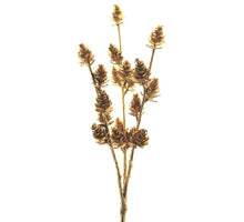 Pine cone pick gold 32cm