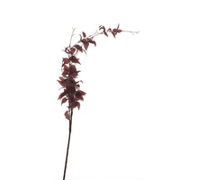 Ligustrum leave spray burgundy 117cm