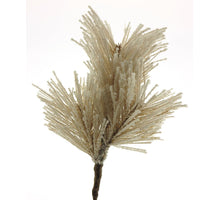 Pinus pine pick beau brown snowy 20cm