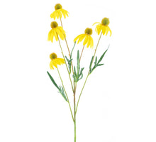 Rudbeckia spray yellow 90cm