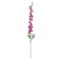 Delphinium spray Akana dark pink 125cm
