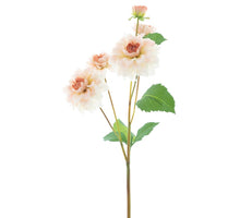 Dahlia spray open eyes orange 60cm