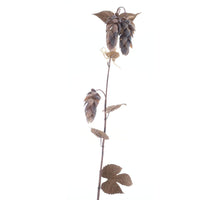 Small hop flower spray x3 w/leaf dk brown 133cm