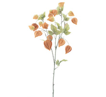 Physalis fruit spray Lahja brown 83cm