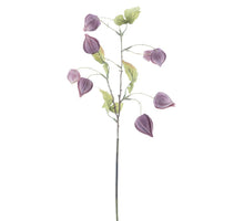 Physalis spray Lahja purple 54cm