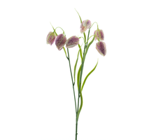 Fritillaria spray pink 60cm