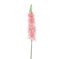 Eremurus spray pink 105cm