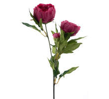 Paeony spray Chiba fuchsia 65cm