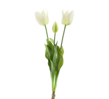 Real Touch Open tulip bundle Sally x3 cream 48cm