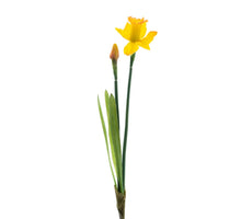 Real touch Daffodil alverna spray orange/yellow 52cm