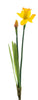 Real touch Daffodil alverna spray orange/yellow 52cm