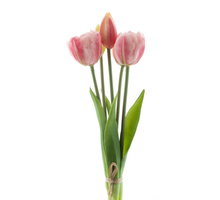Real Touch Triumph tulip bundle Sally x5 pink 29cm