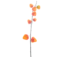 Physalis spray Harz orange 73cm