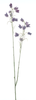 Mini cora bell spray purple 105cm