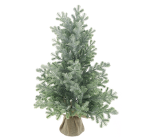 Fir tree in pot Eltville frosted green 45cm