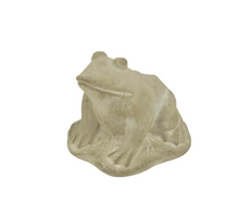 FROG/LEAF CEMENT GREY D12X9H