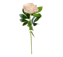 Enkele pioen spray Tea 78cm