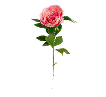 Enkele pioen spray Oud roze 78cm