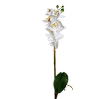REAL TOUCH PHALAENOPSIS BRANCH 42CM