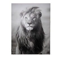 LION PRINTED ON CANVAS 100X130X3.8CM