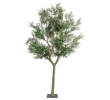 OLIVE TREE H 350 CM