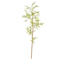 Bamboo cane height 180 cm