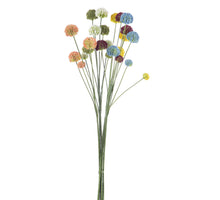 ECHINOPS GLOBE THISTLE 60CM ASSORTED 6 MIX