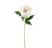 PEONY STEM 52CM WHITE