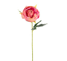 PEONY STEM 52CM ORANGE
