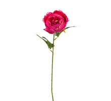 PEONY STEM 52CM FUCHSIA