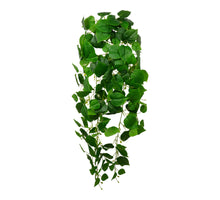 Hanger Pothos 120cm groen